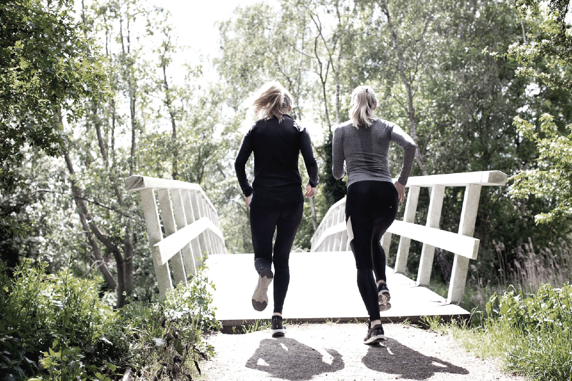 Nature Walk & Talk Program